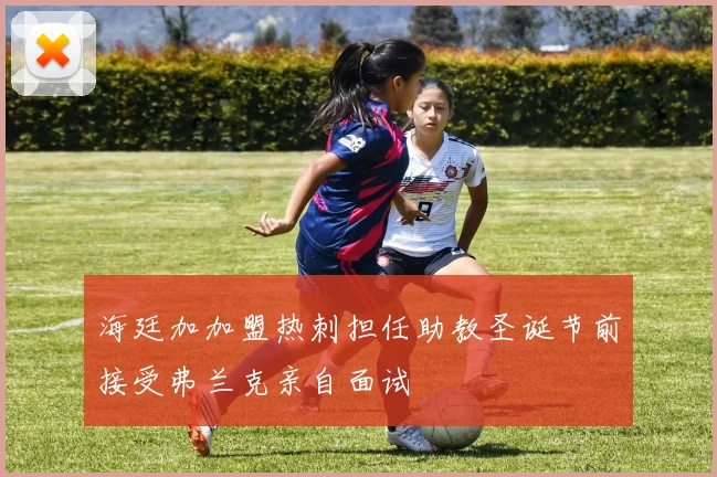 海廷加加盟热刺担任助教圣诞节前接受弗兰克亲自面试
