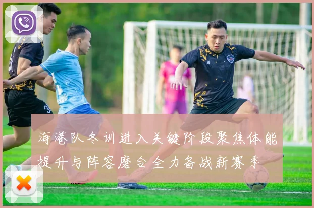 海港队冬训进入关键阶段聚焦体能提升与阵容磨合全力备战新赛季